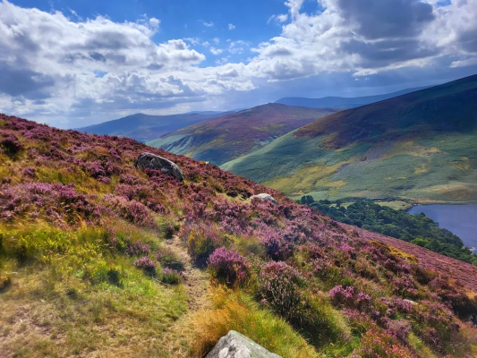 Booktan Konular Edinburgh'dan Dublin'e Edebiyatın Peşinde - Resim 11